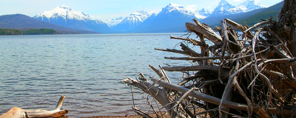 Glacier ForestLake McDonald