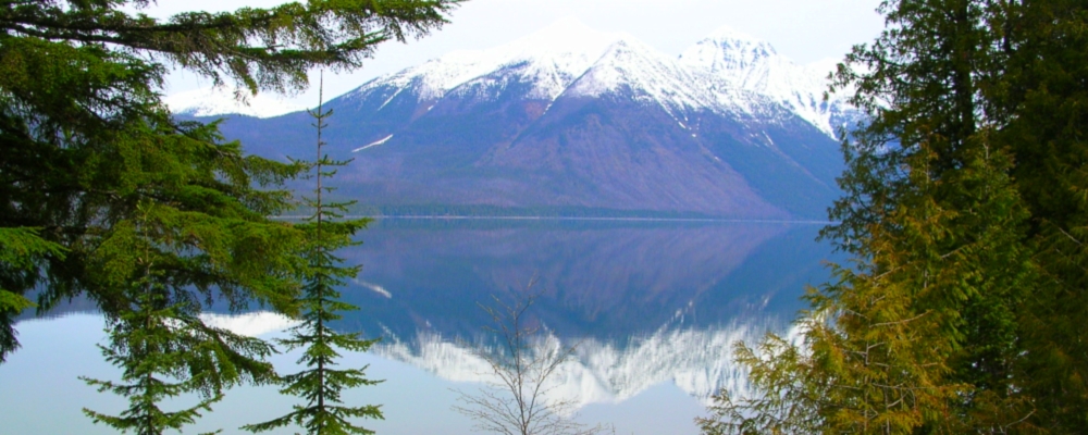 Glacier ForestLake McDonald
