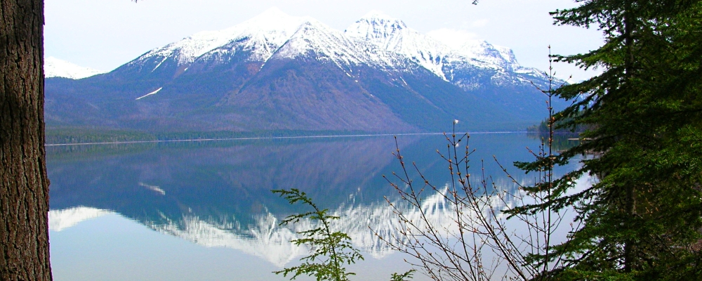Glacier ForestLake McDonald