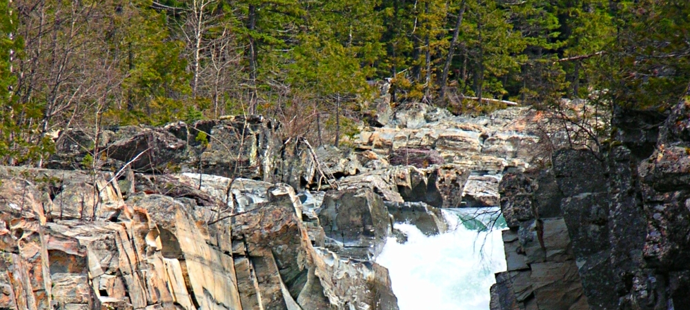 Glacier ForestMcDonald Creek