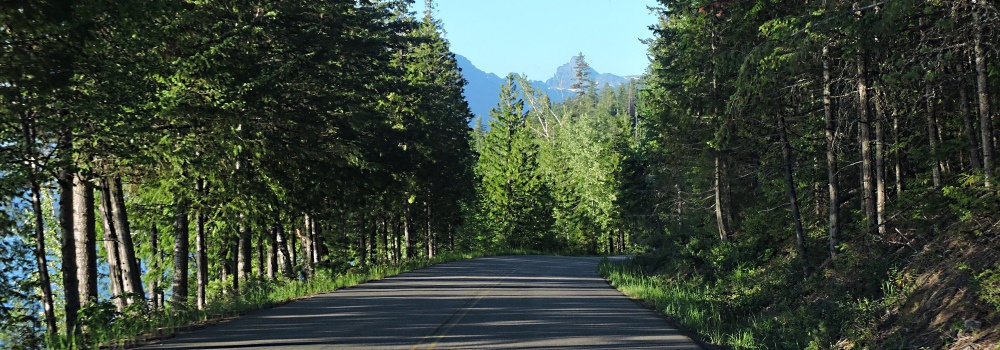 The Glacier NP Forest2018 Journey