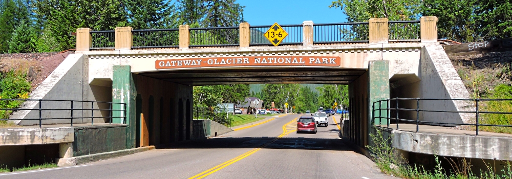 The Glacier Forest2020 Journey