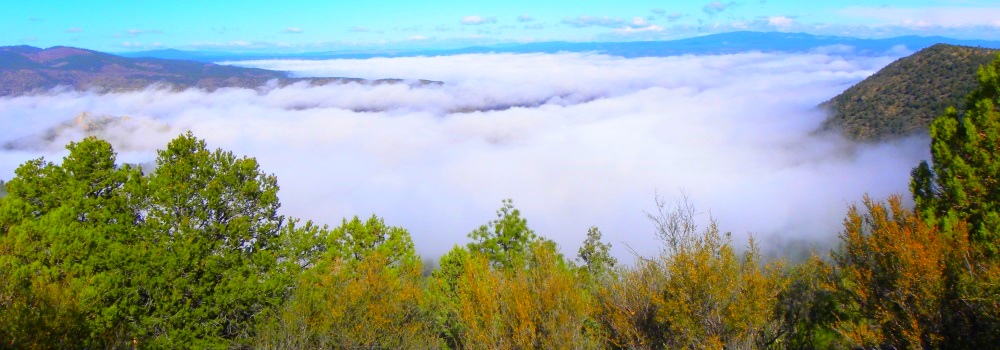 The Gila ForestMountain View