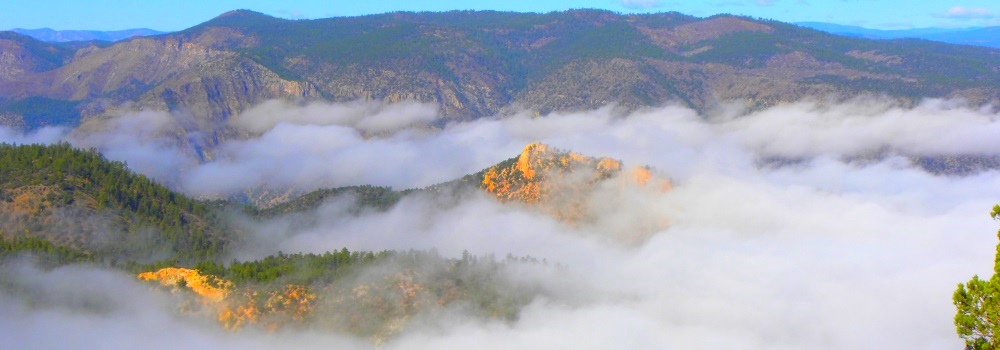 The Gila ForestMountain View