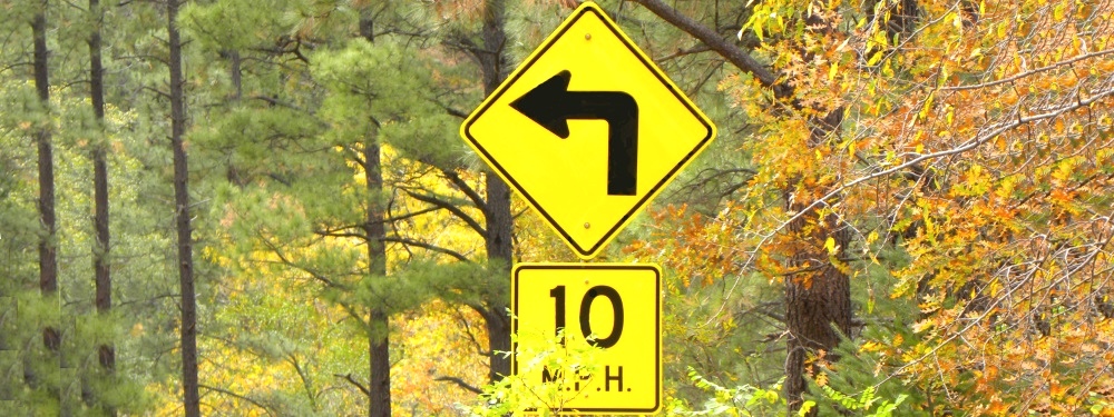 The Gila ForestSlow Down