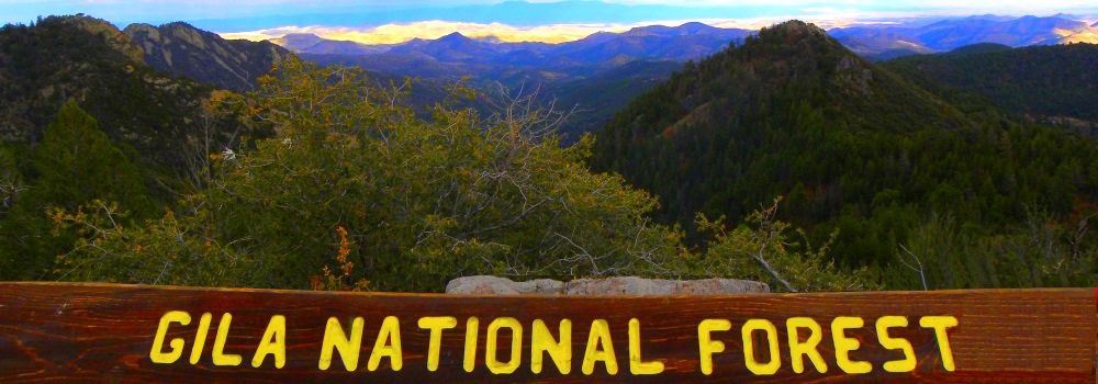 The Gila ForestGila National Forest