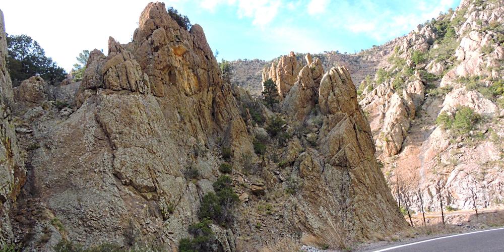 The Earth&prime;s ForestsThe Gila Forest