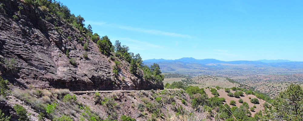 The Earth&prime;s ForestsThe Gila Forest