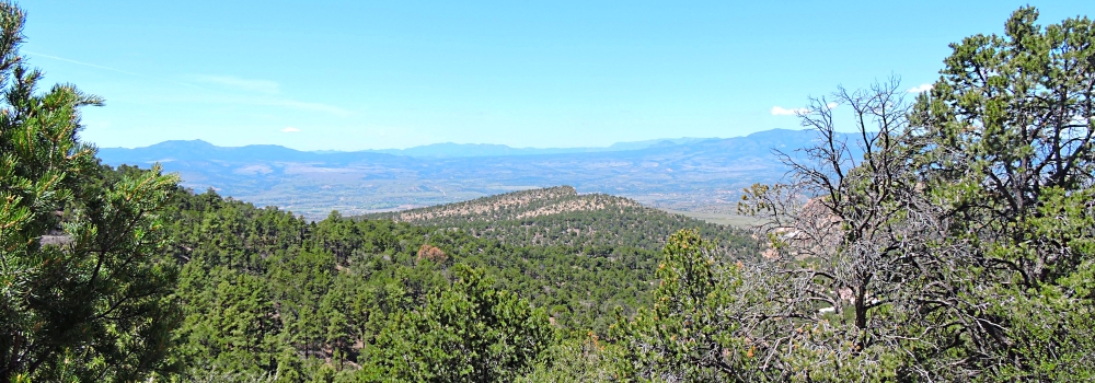 The Earth&prime;s ForestsThe Gila Forest