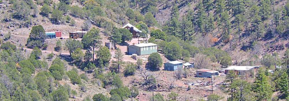 The Earth&prime;s ForestsThe Gila Forest
