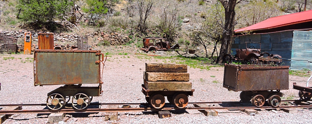 The Earth&prime;s ForestsThe Gila Forest