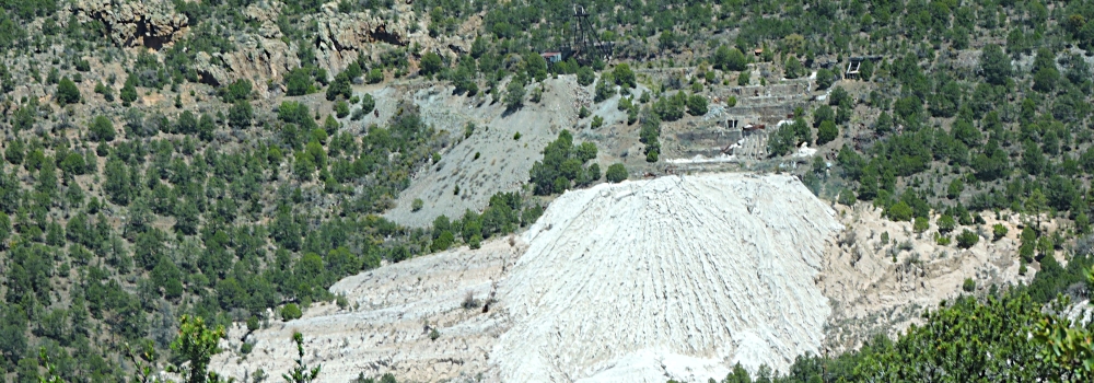 The Earth&prime;s ForestsThe Gila Forest
