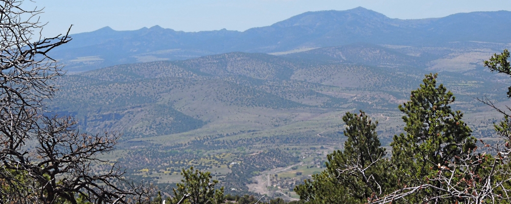 The Earth&prime;s ForestsThe Gila Forest