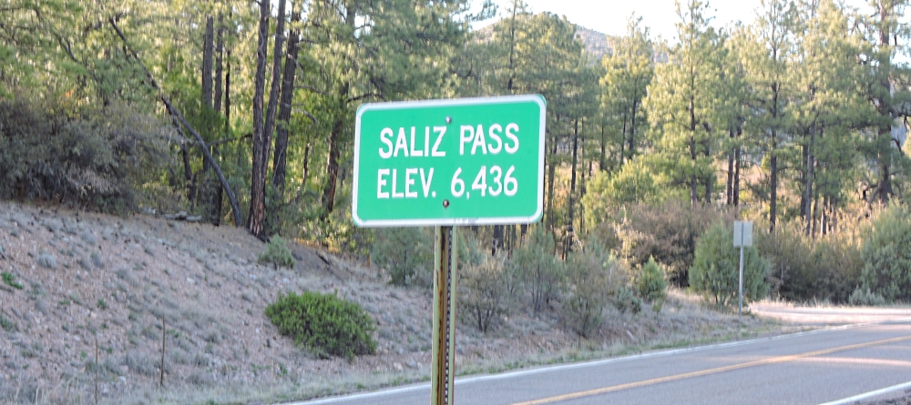The Earth&prime;s ForestsThe Gila Forest