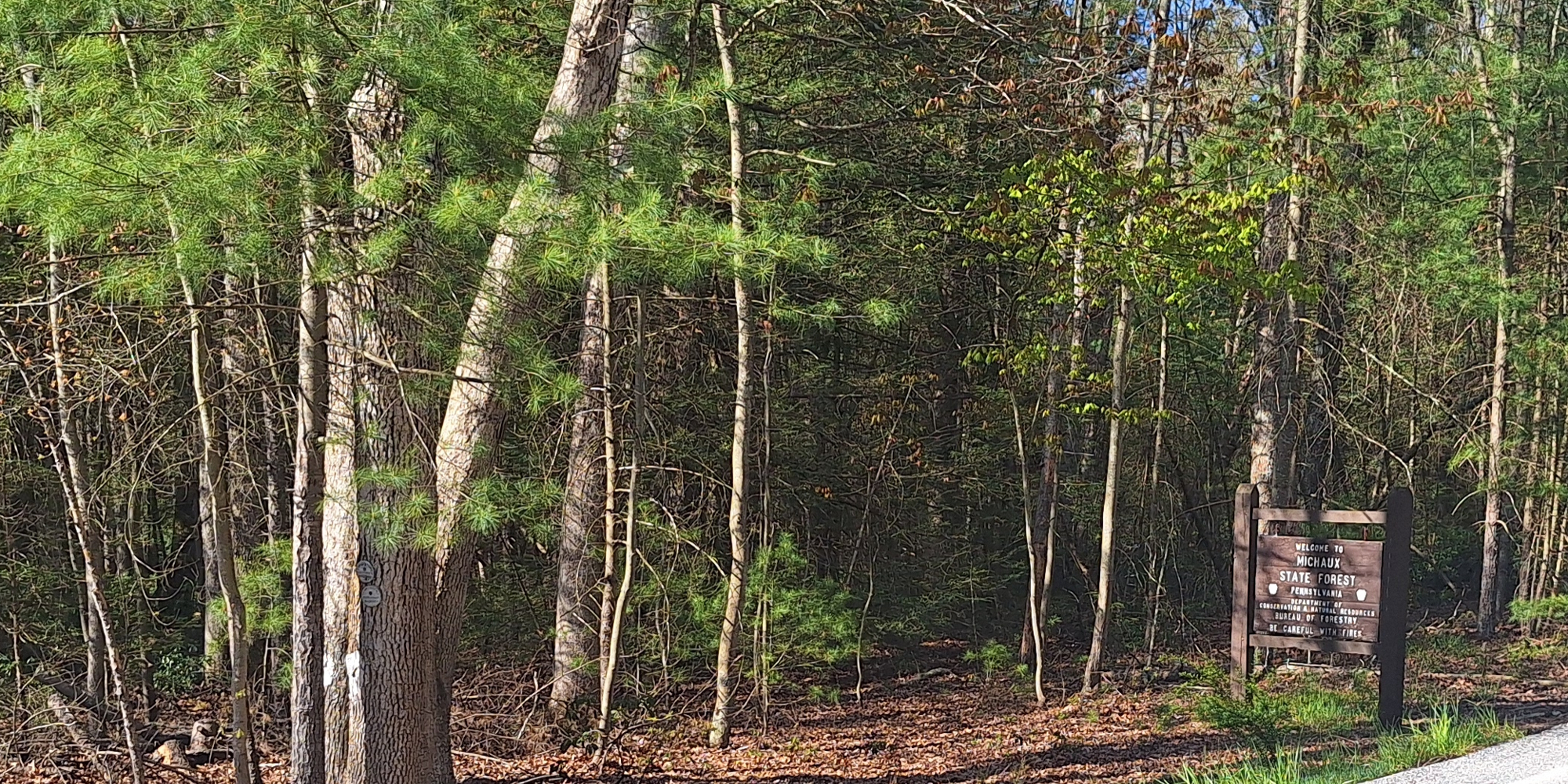The Geographical Regions MapsPennsylvania: Michaux State Forest