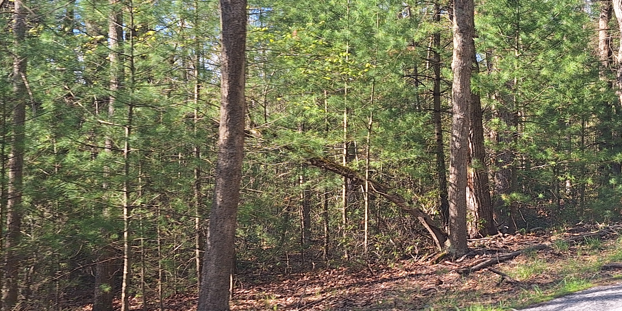 The Geographical Regions MapsPennsylvania: Michaux State Forest