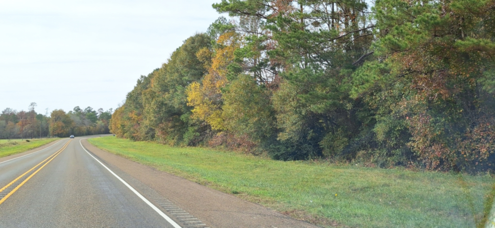 Davy Crocket National ForestTexas State Highway 94