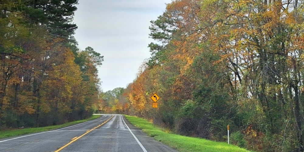 Davy Crocket National ForestTexas State Highway 94