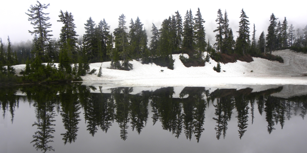 Mt. Baker-Snoqualmie ForestHeather Meadows