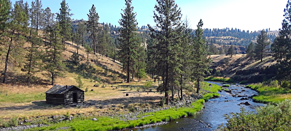 The Hot SpringsRitter Hot Springs
