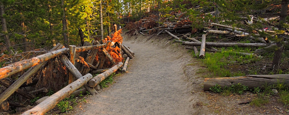 Newly CreatedOverlook Trail
