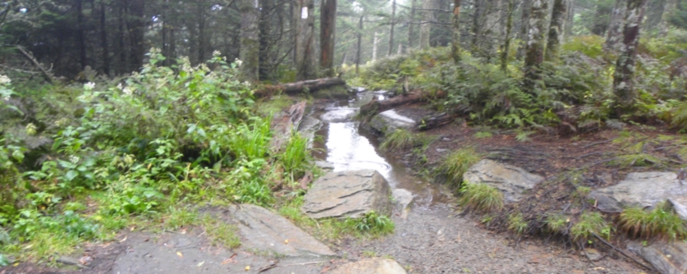 The Great Smoky MountainsClingmans Dome