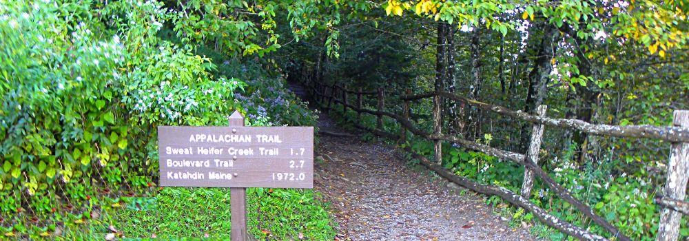 The Great Smoky MountainsClingmans Dome