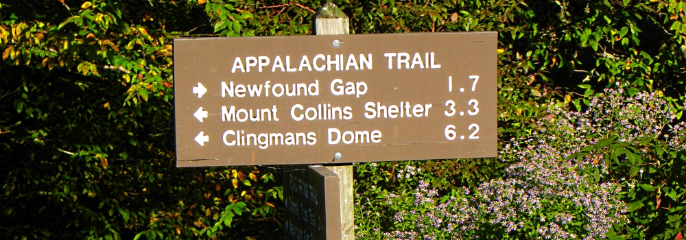 The Great Smoky MountainsClingmans Dome