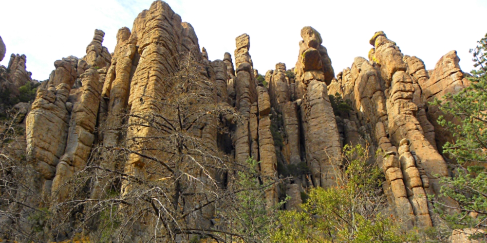 The ChiricahuaOrgan Pipe Formation