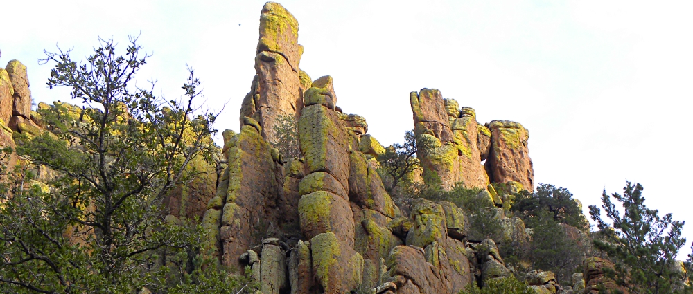 The ChiricahuaSea Captain Formation