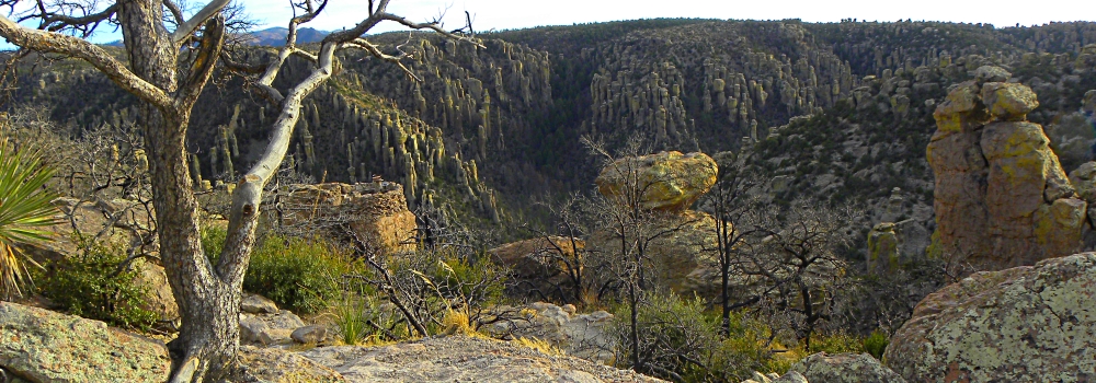 The ChiricahuaMassai Point View