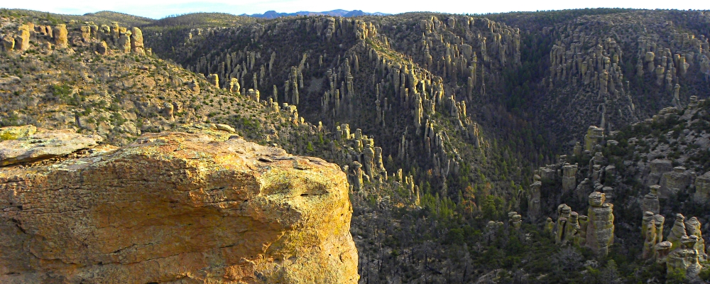 The ChiricahuaMassai Point View