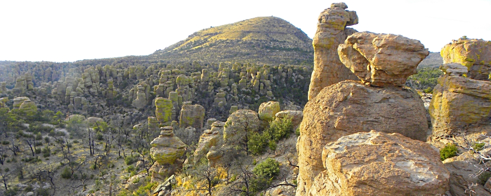 The ChiricahuaMassai Point View