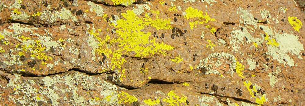 The ChiricahuaColor of the Rocks