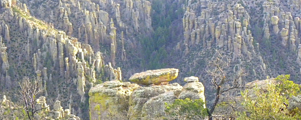 The ChiricahuaMassai Point View