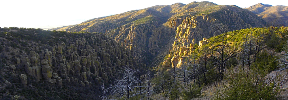 The ChiricahuaMassai Point View