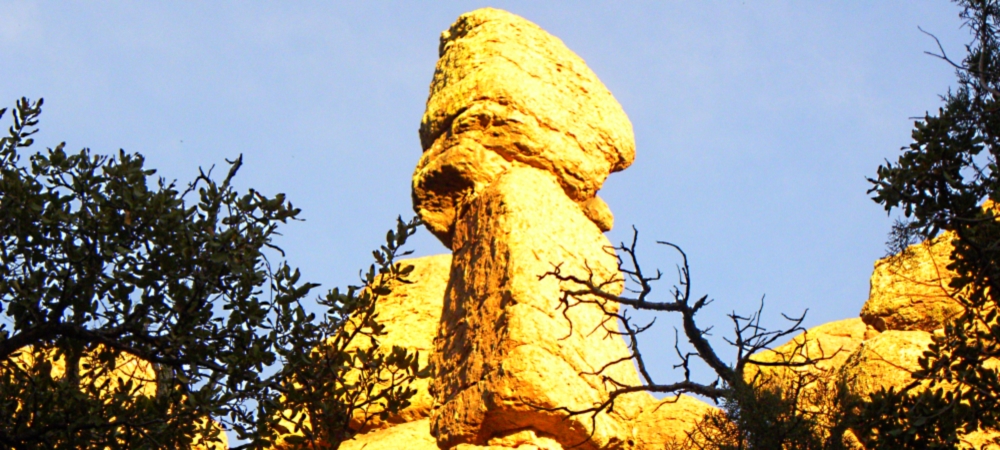 The ChiricahuaSunset Return Path