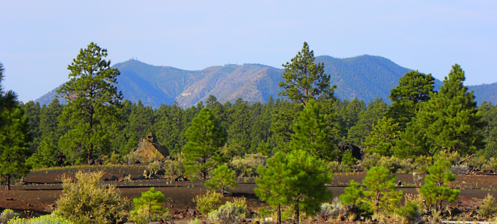 The Sunset Crater VolcanoImage