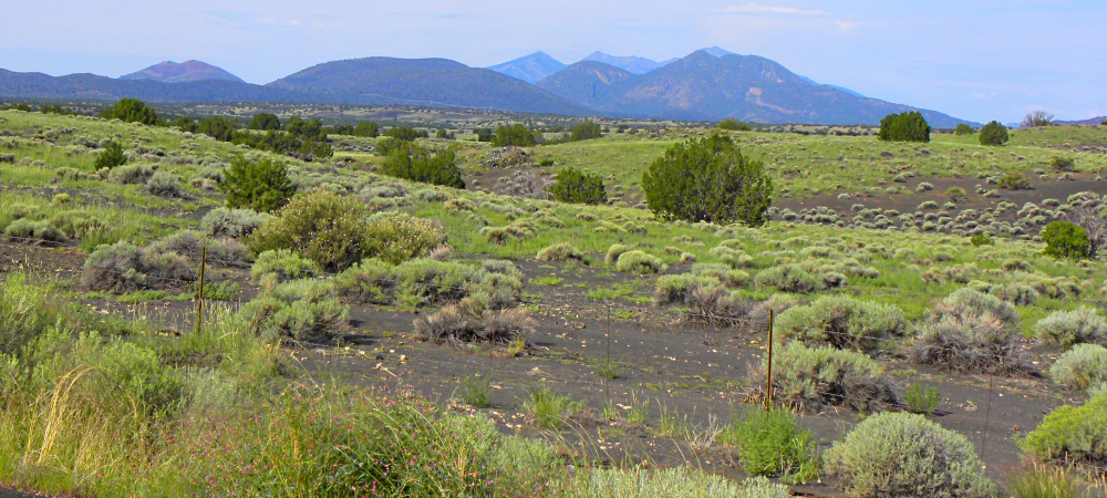 The Sunset Crater VolcanoImage