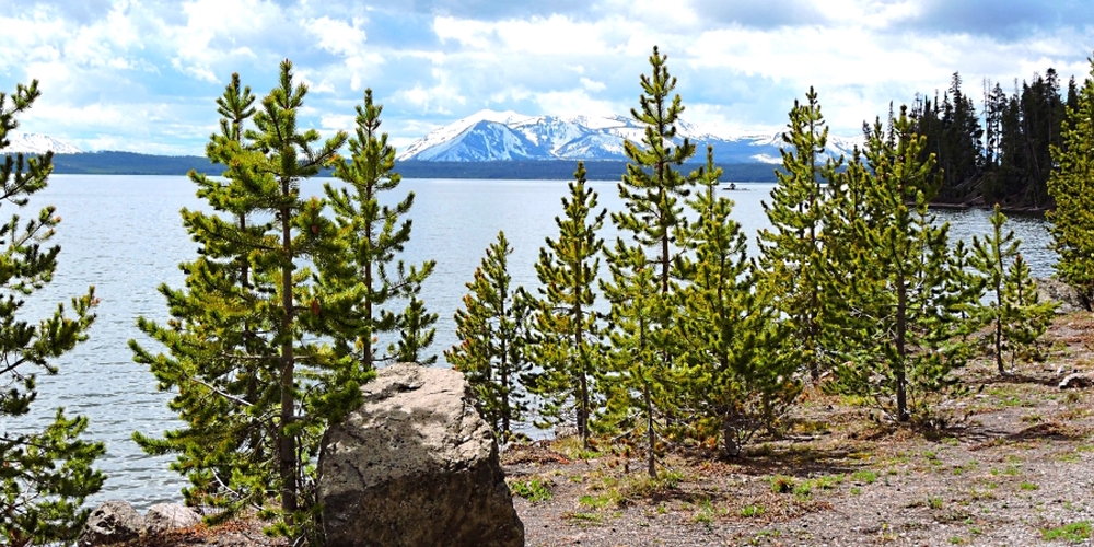 The Earth&prime;s LakesThe Yellowstone Lake