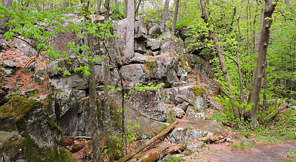 The St. Croix RiverInterstate State Park