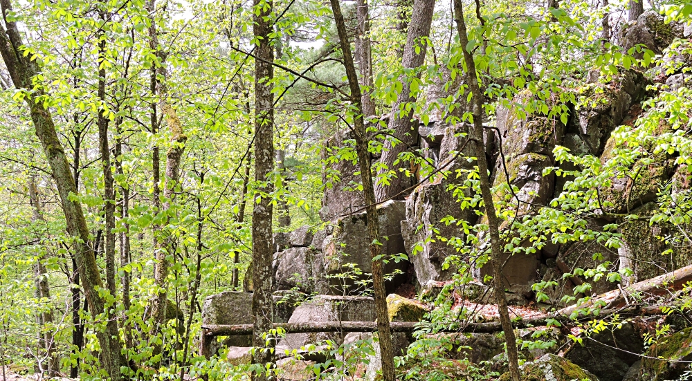 The St. Croix RiverInterstate State Park