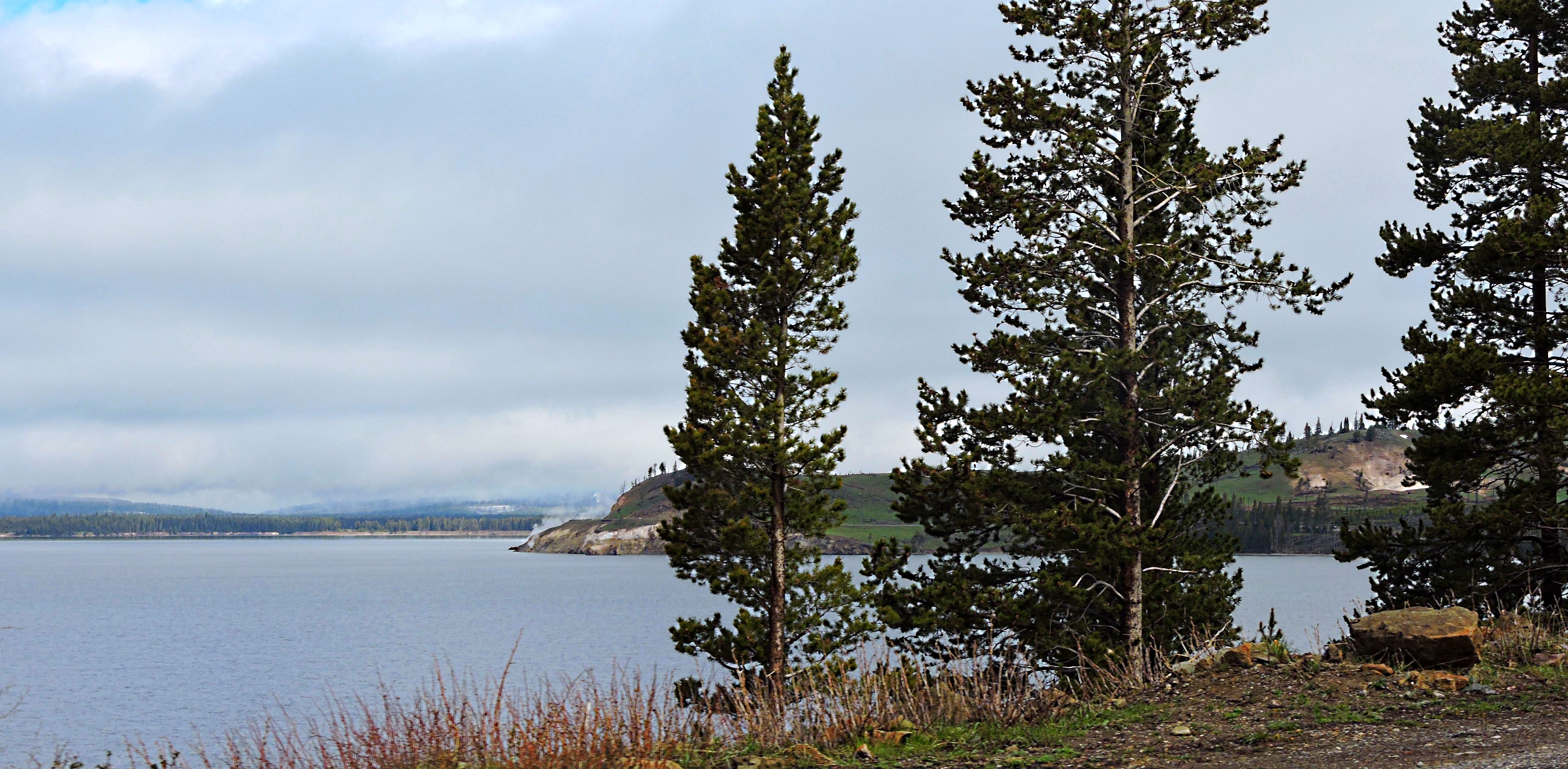 The Yellowstone RiverImage