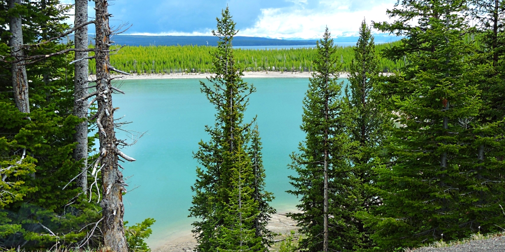 The Yellowstone RiverImage