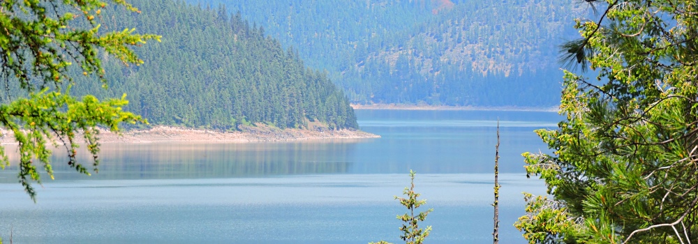 Kootenai LakeEnshrouded by Forest