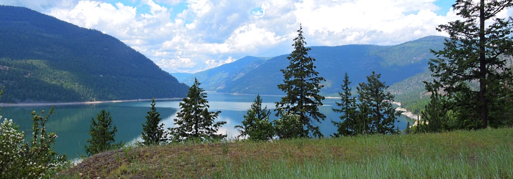 Kootenai LakeEnshrouded by Forest