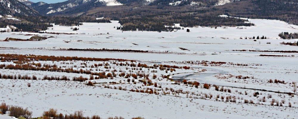 The Rio Grande RiverOxbow of the Rio Grande