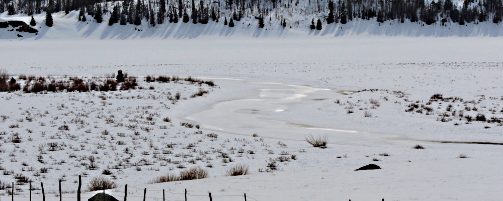 The Rio Grande RiverOxbow of the Rio Grande