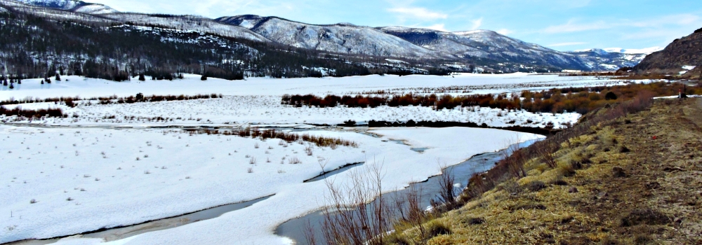 The Rio Grande RiverOxbow of the Rio Grande
