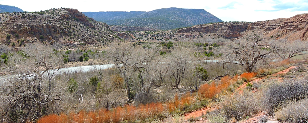The Rio ChamaRiver Canyon Wilderness